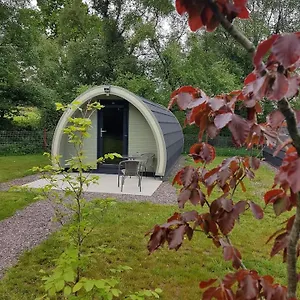  Camping Mount Hillary Pods
